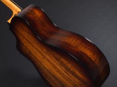 Taylor 214ce-K SB Plus ~Shaded Edgeburst~【新製品!】_12