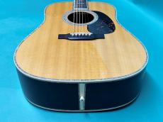 Martin D-45 Standard_11