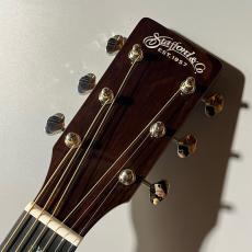 Stafford 【大人気エントリーモデル】SF-5C(サンバーストカラー)_5
