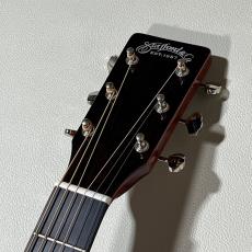 Stafford 【大人気エントリーモデル】SF-4D(サンバーストカラー)_5