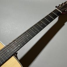 Stafford 【大人気エントリーモデル】SF-4D(ナチュラルカラー)_4