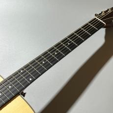 Stafford 【大人気エントリーモデル】SF-3D(ナチュラルカラー)_4