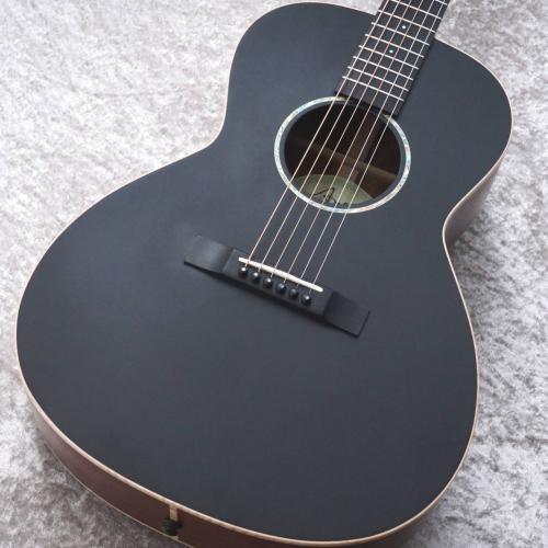 AYERS 【ちょい傷特価!】 L00-08A Wild Cat OTS JP Custom 【試奏動画あり】【48回無金利】【ベイクドアディロントップ!】