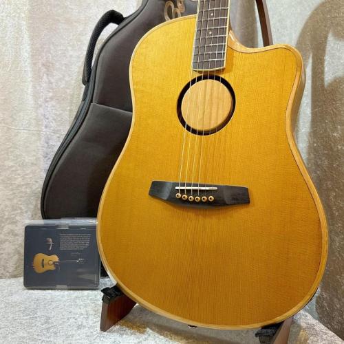 L.R.Baggs 【半期決算セール!!～8/31まで!!】【試奏動画】AEG-1 TOR #0055【L.R.Baggsイコライザーペダルプレゼント】