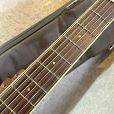 L.R.Baggs 【半期決算セール!!～8/31まで!!】【試奏動画】AEG-1 TOR #0055【L.R.Baggsイコライザーペダルプレゼント】_4