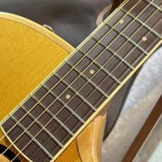 L.R.Baggs 【半期決算セール!!～8/31まで!!】【試奏動画】AEG-1 TOR #0055【L.R.Baggsイコライザーペダルプレゼント】_5