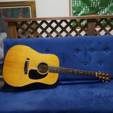 Martin D-21 【1968年製】