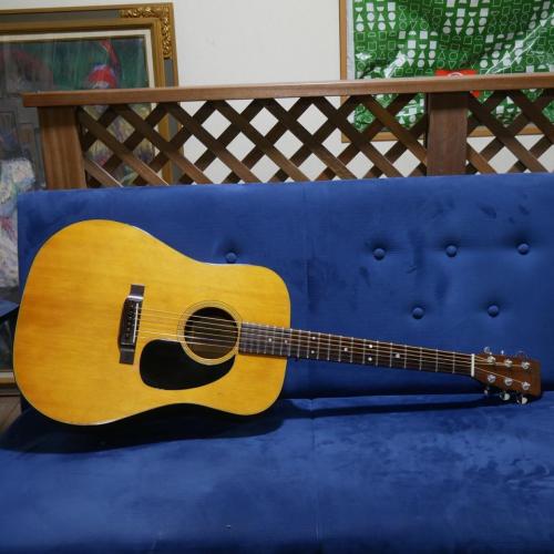 Martin D-21 【1968年製】