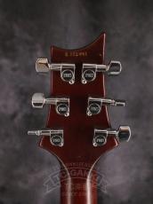 Paul Reed Smith [PRS] 2006 Singlecut Standard Satin Soapbar Trem_15