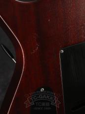 Paul Reed Smith [PRS] 2006 Singlecut Standard Satin Soapbar Trem_17