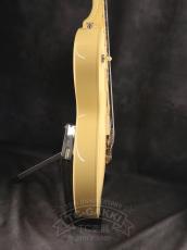 Epiphone Les Paul Standard_5