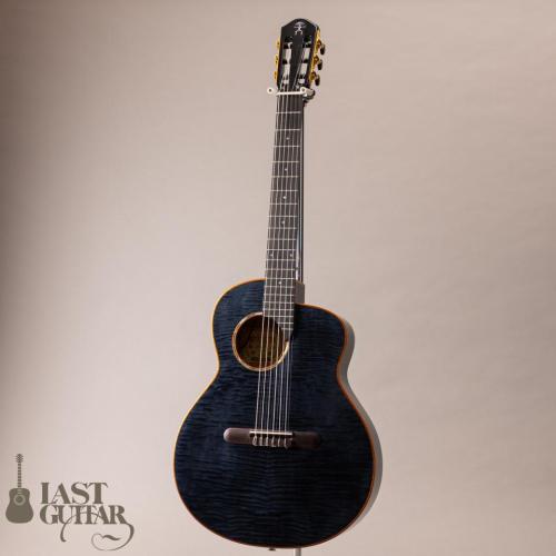 aNueNue aNN-LN77E