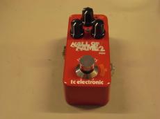 tc electronic HALL OF FAME MINI2_3