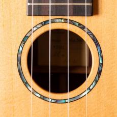G-Labo CTM Bird 365 PH_4