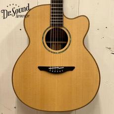 AVALON GUITARS 【決算セール～8/31まで】L2-800C 《Brazilian Rosewood》 【無金利分割OK】