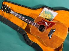 Gibson DOVE NT