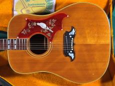 Gibson DOVE NT_2