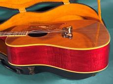 Gibson DOVE NT_4