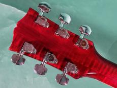 Gibson DOVE NT_6