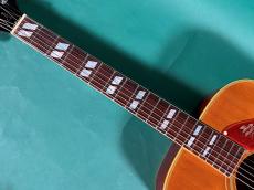 Gibson DOVE NT_7