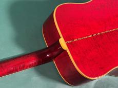 Gibson DOVE NT_9
