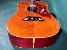 Gibson DOVE NT_11
