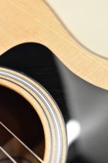 Taylor GS Mini 2024年製 中古【PUなし】【決算SALE開催中～8/31まで】_10