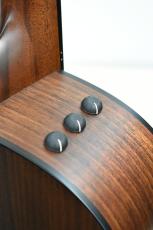 Taylor 【クロサワ横浜店】【2021年製中古】322ce Blackwood V-Class【決算SALE開催中～8/31まで】_10