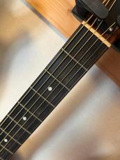 Taylor 114CE_7
