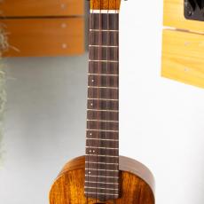 KIWAYA KPC-1K_5