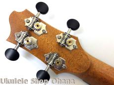 Akira Niihori Ukulele [Daizu] スモールコンサート サイドホール #06002 ジャーマンスプルース/インディアンローズウッド 2025年/中古委託_14