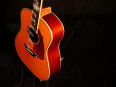 Terry's Terry TJ-20th Anniversary Limited Edition【限定10本 テリーズテリー設立20周年記念 スペシャルモデルが入荷です!】解説試奏動画ご覧下さい。_3