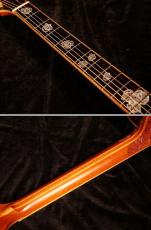 Terry's Terry TJ-20th Anniversary Limited Edition【限定10本 テリーズテリー設立20周年記念 スペシャルモデルが入荷です!】解説試奏動画ご覧下さい。_10