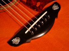 Terry's Terry TJ-20th Anniversary Limited Edition【限定10本 テリーズテリー設立20周年記念 スペシャルモデルが入荷です!】解説試奏動画ご覧下さい。_11