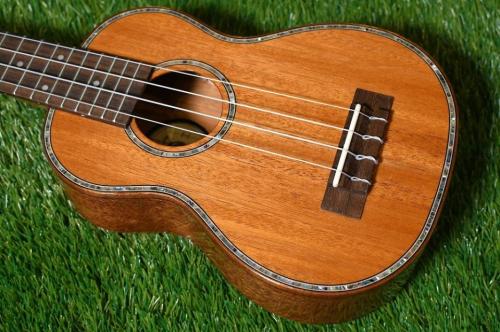 DCT DUS-300M Soprano