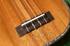 DCT DUS-300M Soprano_11