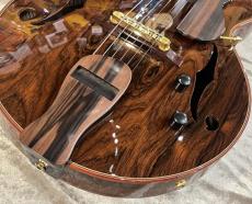 Rozeo 【USED】 Ladybug  Brazilian Rosewood #22 [2.36kg]【G-CLUB TOKYO】_7