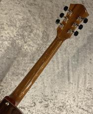Rozeo 【USED】 Ladybug  Brazilian Rosewood #22 [2.36kg]【G-CLUB TOKYO】_8