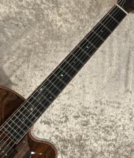 Rozeo 【USED】 Ladybug  Brazilian Rosewood #22 [2.36kg]【G-CLUB TOKYO】_9