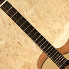 Legacy Project Dawn(OM Cutaway)_6
