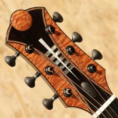 Legacy Project Dawn(OM Cutaway)_8