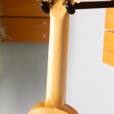 Quiam eleComCon Soprano_8