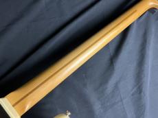 Vanzandt VanZandt PBV-R1_9