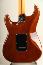 Fender Limited Edition American Ultra Stratocaster Ebony Tiger Eye【S/N US23032637】_3