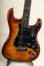 Fender Limited Edition American Ultra Stratocaster Ebony Tiger Eye【S/N US23032637】_9