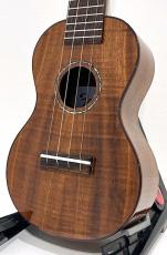Famous FS-500 Premium