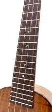 Famous FS-500 Premium_3