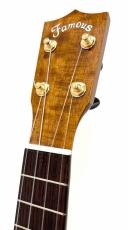 Famous FS-500 Premium_4
