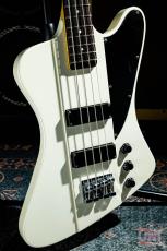 ESP Custom order TB Type bass_2