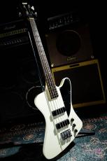 ESP Custom order TB Type bass_3